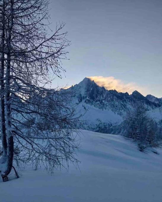 Ski Chamonix, Saint Gervais Et Mont-Blanc Passy  Bagian luar foto